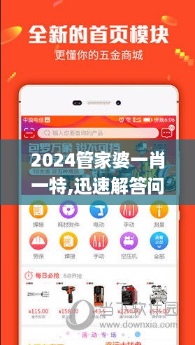 2024管家婆一肖一特,迅速解答问题_XXI5.43.37特别版