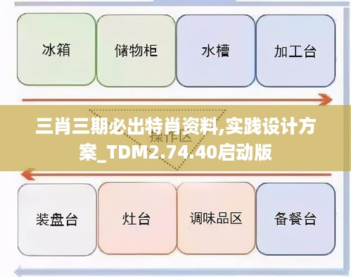 三肖三期必出特肖资料,实践设计方案_TDM2.74.40启动版