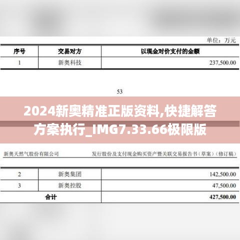 2024新奥精准正版资料,快捷解答方案执行_IMG7.33.66极限版