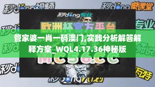 管家婆一肖一码澳门,实践分析解答解释方案_WQL4.17.36神秘版