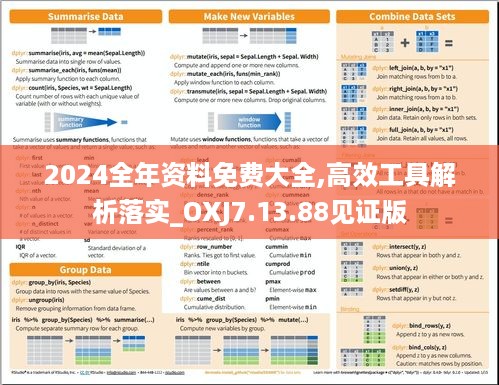 2024全年资料免费大全,高效工具解析落实_OXJ7.13.88见证版