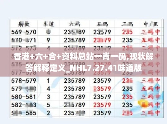 香港+六+合+资料总站一肖一码,现状解答解释定义_NHL7.27.41味道版