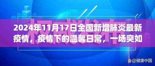 疫情下的温馨日常，突如其来的疫情与我们的故事（截至2024年11月17日全国新增疫情报告）