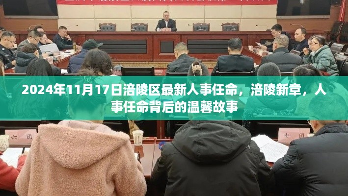 涪陵新篇章，人事任命背后的故事，2024年11月17日最新人事任命揭晓