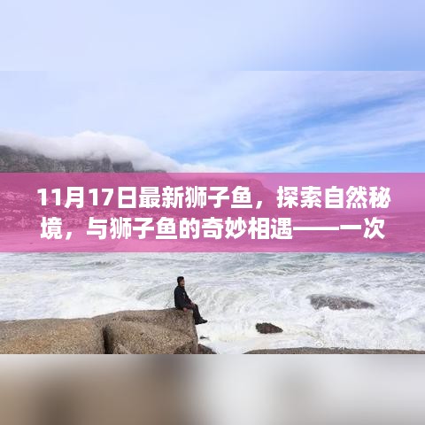 探索自然秘境，与狮子鱼的奇妙相遇的心灵之旅（最新狮子鱼报道）