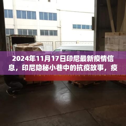 印尼隐秘小巷中的抗疫故事与疫情之下的独特风味探索，最新疫情信息报告（2024年11月17日）