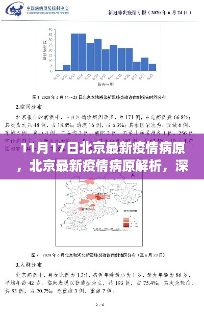 北京最新疫情病原深度解析与观点阐述，11月17日最新疫情分析