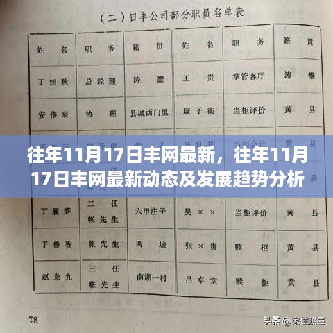 往年11月17日丰网最新动态及趋势分析报道