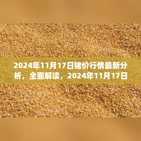 最新分析，2024年11月17日猪价行情全面解读