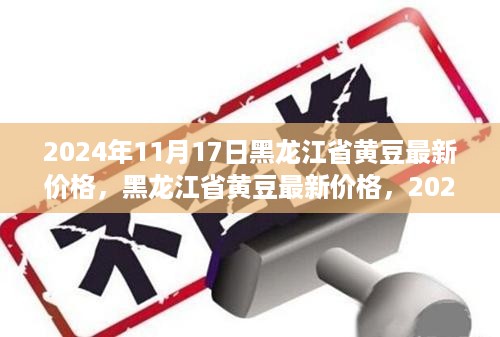 黑龙江省黄豆最新价格行情分析，回顾与展望 2024年11月17日