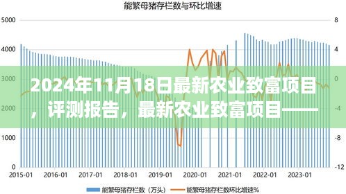 深度解析，最新农业致富项目与农业创新投资展望（2024年评测报告）