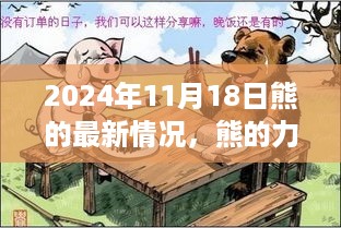 2024年11月18日熊的最新动态，力量、学习与成长的最新篇章