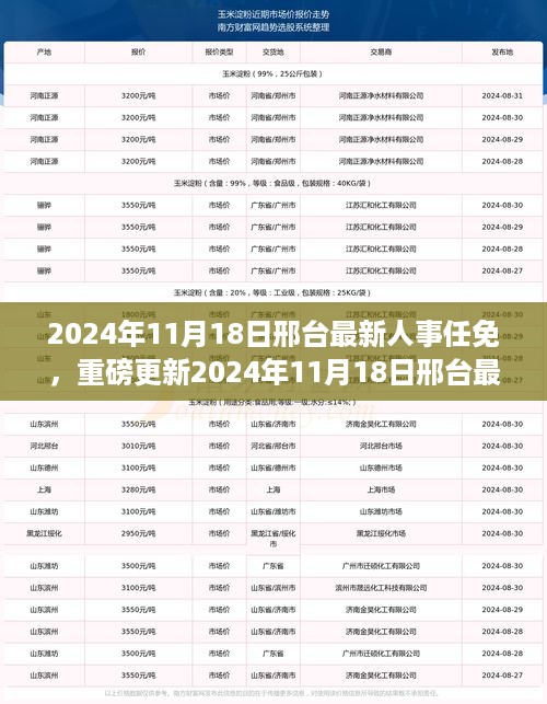 2024年11月18日邢台人事任免最新动态，人事变迁一网打尽