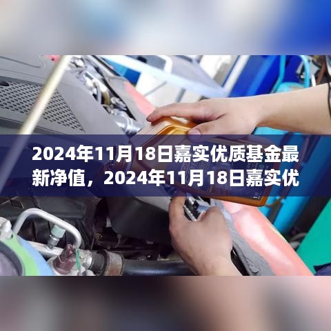 嘉实优质基金最新净值揭秘，自然美景的心灵之旅与基金动态更新同步播报