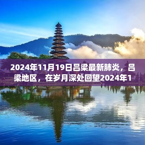 吕梁地区回望，2024年11月肺炎印记