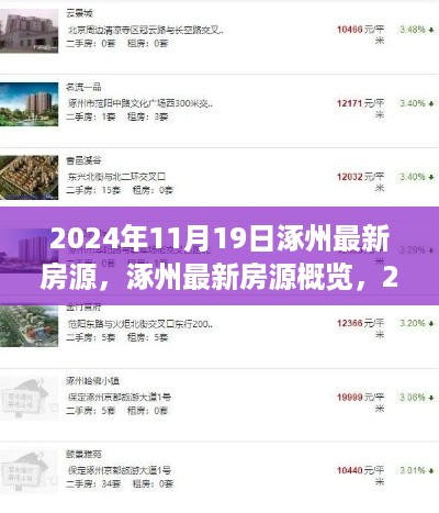 2024年11月19日涿州最新房源概览，置业新机遇