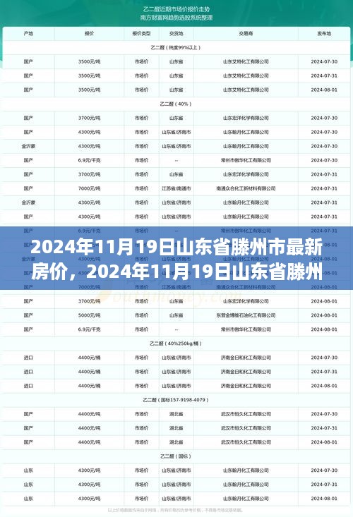 山东省滕州市最新房价走势与购房指南（2024年11月19日）