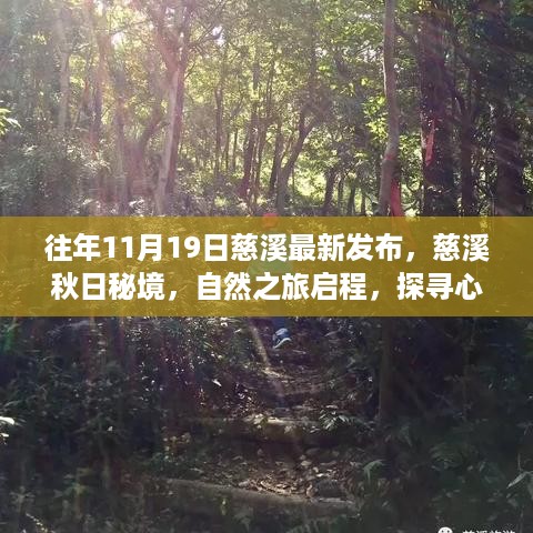 慈溪秋日秘境，自然之旅启程，探寻心灵净土的最新发布