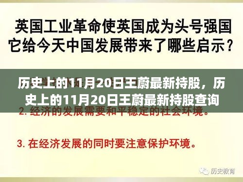 历史上的11月20日王蔚最新持股详解，查询步骤指南，适合初学者与进阶用户