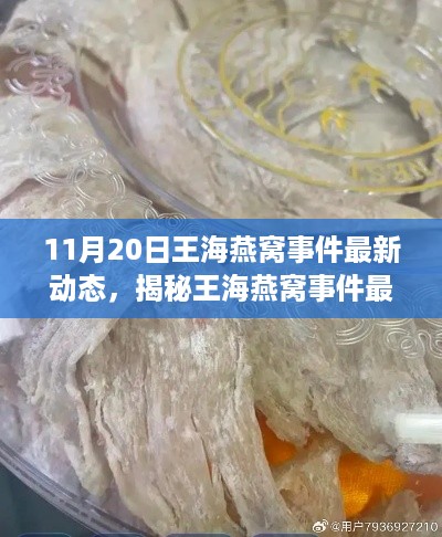 王海燕窝事件最新进展揭秘，市场乱象、监管动态深度剖析