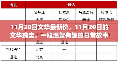 11月20日文华瑰宝，日常故事的温馨瞬间