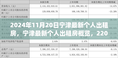 宁津最新个人出租房概览与观察报告，2024年11月20日更新