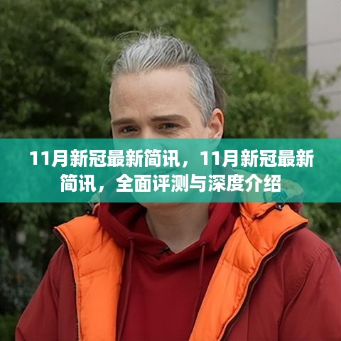 全面深度解析，最新11月新冠疫情简讯与评测