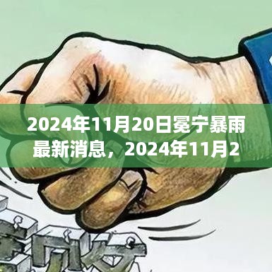 深度解析，从某一视角看2024年11月20日冕宁暴雨事件及其最新消息