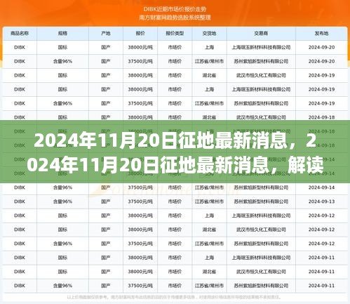 2024年11月20日征地最新消息解读，政策走向与影响分析