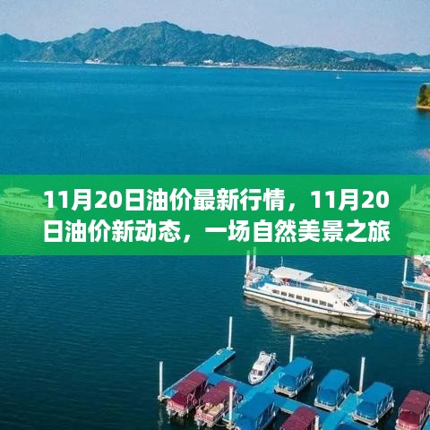 11月20日油价动态更新与心灵宁静的自然美景之旅