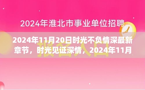 时光不负情深，情感与故事的最新篇章（2024年11月20日）