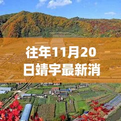 往年11月20日靖宇最新消息回顾，探寻独特印记，年度回顾揭秘年度变化