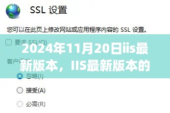 IIS最新版本的奇妙之旅，见证温馨友谊的见证时刻（2024年11月20日）