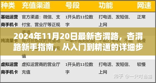 杏渭路新手入门指南，从基础到精通的详细步骤解析（2024最新）