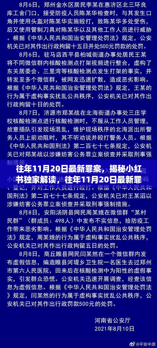 往年11月20日最新罪案揭秘与深度剖析，小红书独家解读