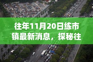 探秘往年11月20日练市镇，巷弄深处的独特小店之旅