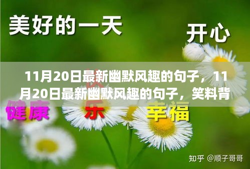 笑料背后的多元观点探讨，最新幽默风趣句子精选