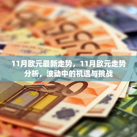 11月欧元走势波动中的机遇与挑战，最新分析与预测