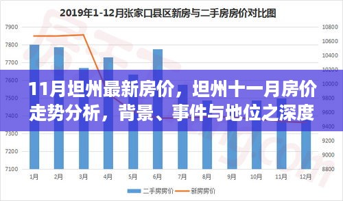 坦州最新房价走势深度分析，背景、事件与地位探讨（十一月版）