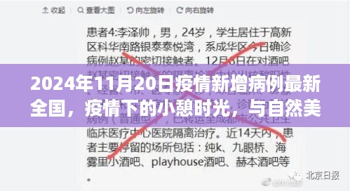 2024年11月20日疫情新增病例最新全国，疫情下的小憩时光，与自然美景的邂逅之旅