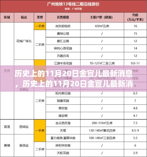 历史上的11月20日金宣儿最新消息，历史上的11月20日金宣儿最新消息全面评测，特性、体验、对比及用户群体分析