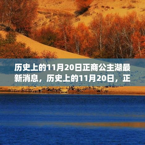 历史上的11月20日揭秘，正商公主湖最新动态与消息速递