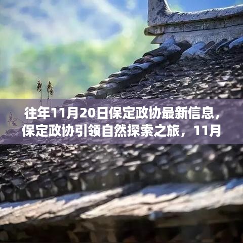 保定政协引领自然探索之旅，11月20日的宁静革命启程记