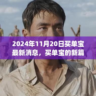 买单宝新篇章，2024年11月20日的奇遇与温情