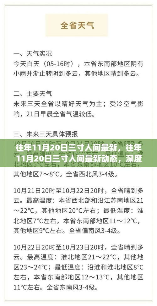 往年11月20日三寸人间最新动态，深度解析与观点阐述