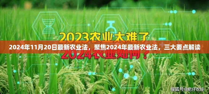 解读2024年最新农业法三大要点，政策更新与农业发展的关注焦点