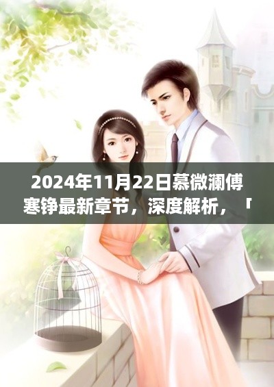 慕微澜傅寒铮最新篇章深度解析，2024年11月22日章节评测