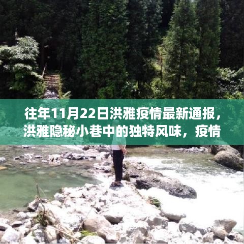 洪雅隐秘小巷中的独特风味与疫情下的小店故事，最新疫情通报分析