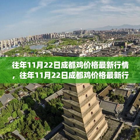 往年11月22日成都鸡价格行情概览，最新行情及查询指南全解析