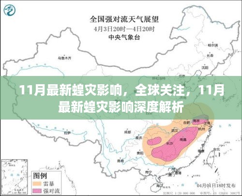 11月最新蝗灾深度解析，全球关注的影响与应对策略